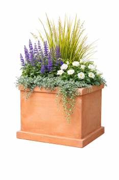 Preview: Quadratischer Terracotta Blumenkasten Cassetta Quadrata Masini